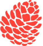 Pollino Digital Lab - Projects